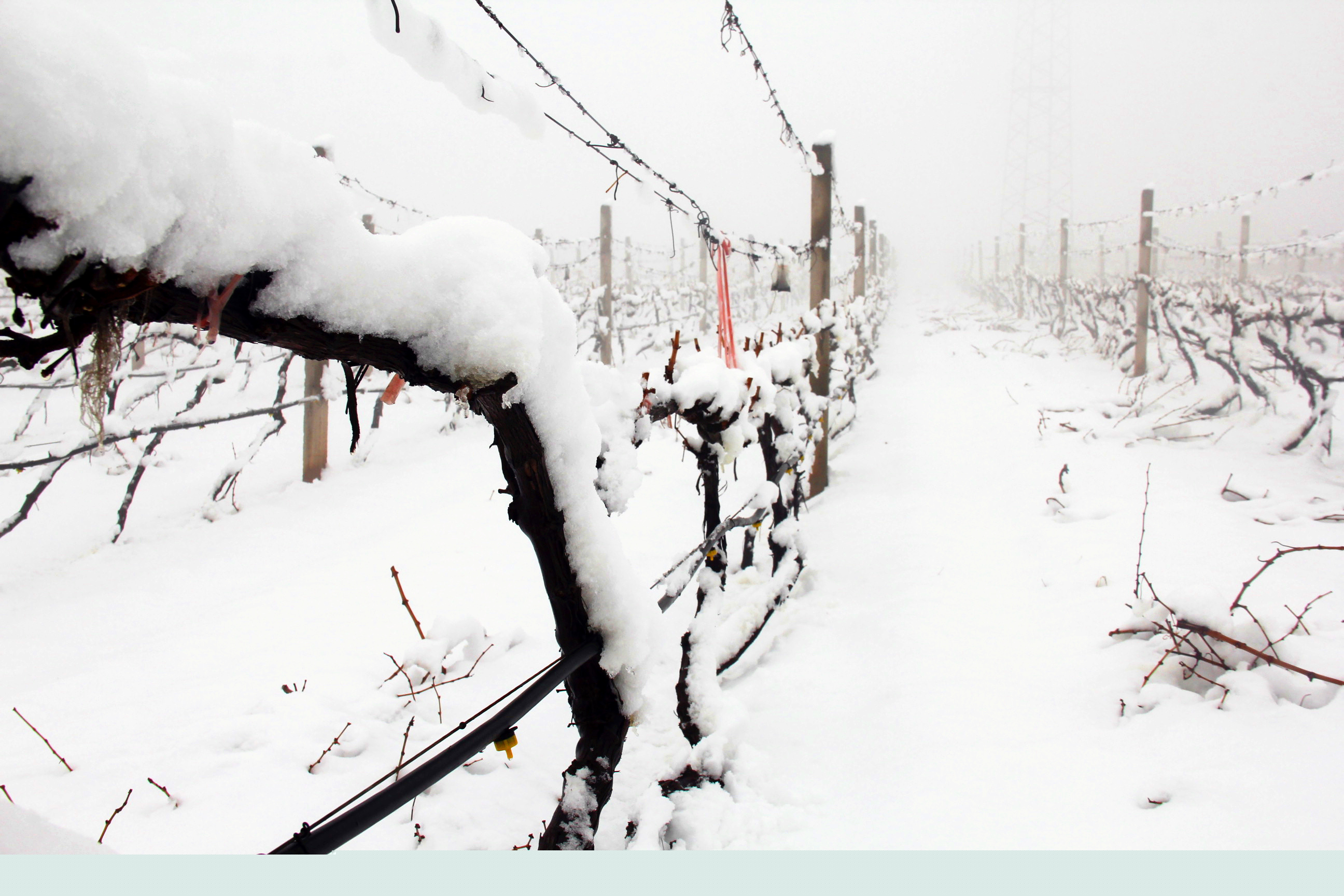 瑞雪兆豐年 ▎時(shí)光正好，歲月極美，何必覓遠(yuǎn)方