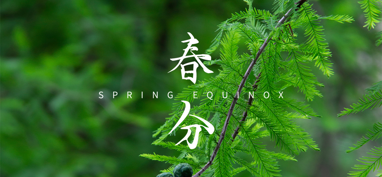 春分 ▎不負(fù)春光，萬物生長