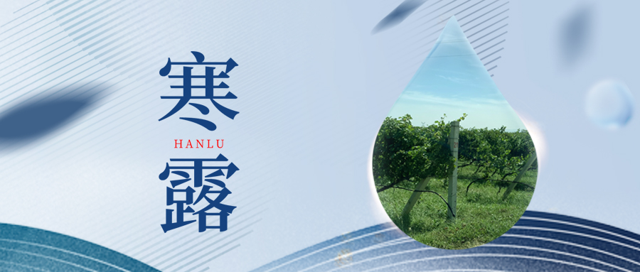 寒露丨夜露凝寒，萬物皆秋