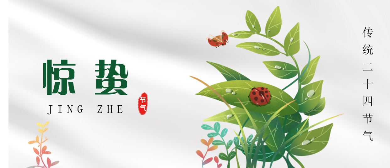 驚蟄 ▎雷鳴春醒，萬物生長