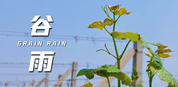 谷雨 ▎雨生百谷，萬(wàn)物生長(zhǎng)