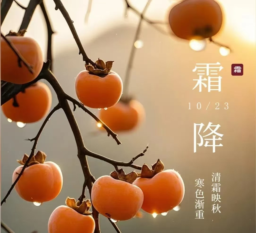 霜降||人間至此秋色盡，草木搖落露為霜