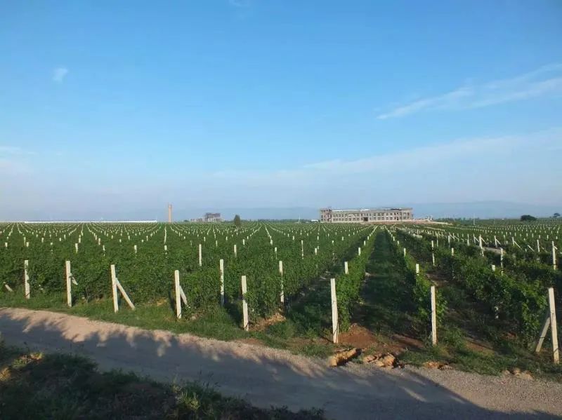 格瑞特莊園春季踏青游，一場微醺的春日盛宴等你來！